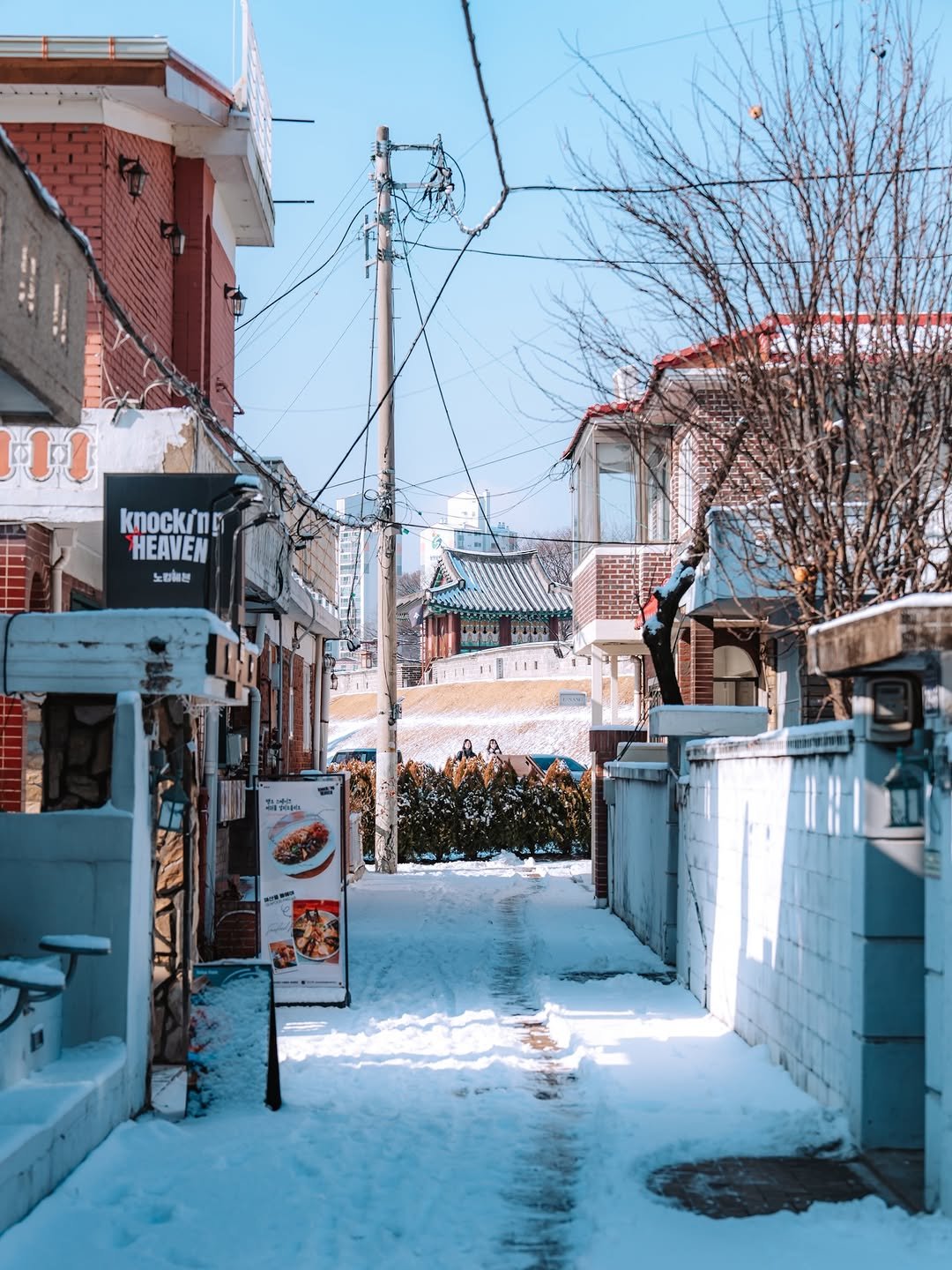 Photo shared by 빈백 | CHANG SU, OH on February 04, 2026 tagging @trazy_korea, @sonykorea, @suwon_city, @gyeonggi_tour, and @gyeonggi__official. May be an image of sparrow, street, telephone pole, lamppost and text that says 'knocking HEAVEN 노티비본 사구 MA A'.