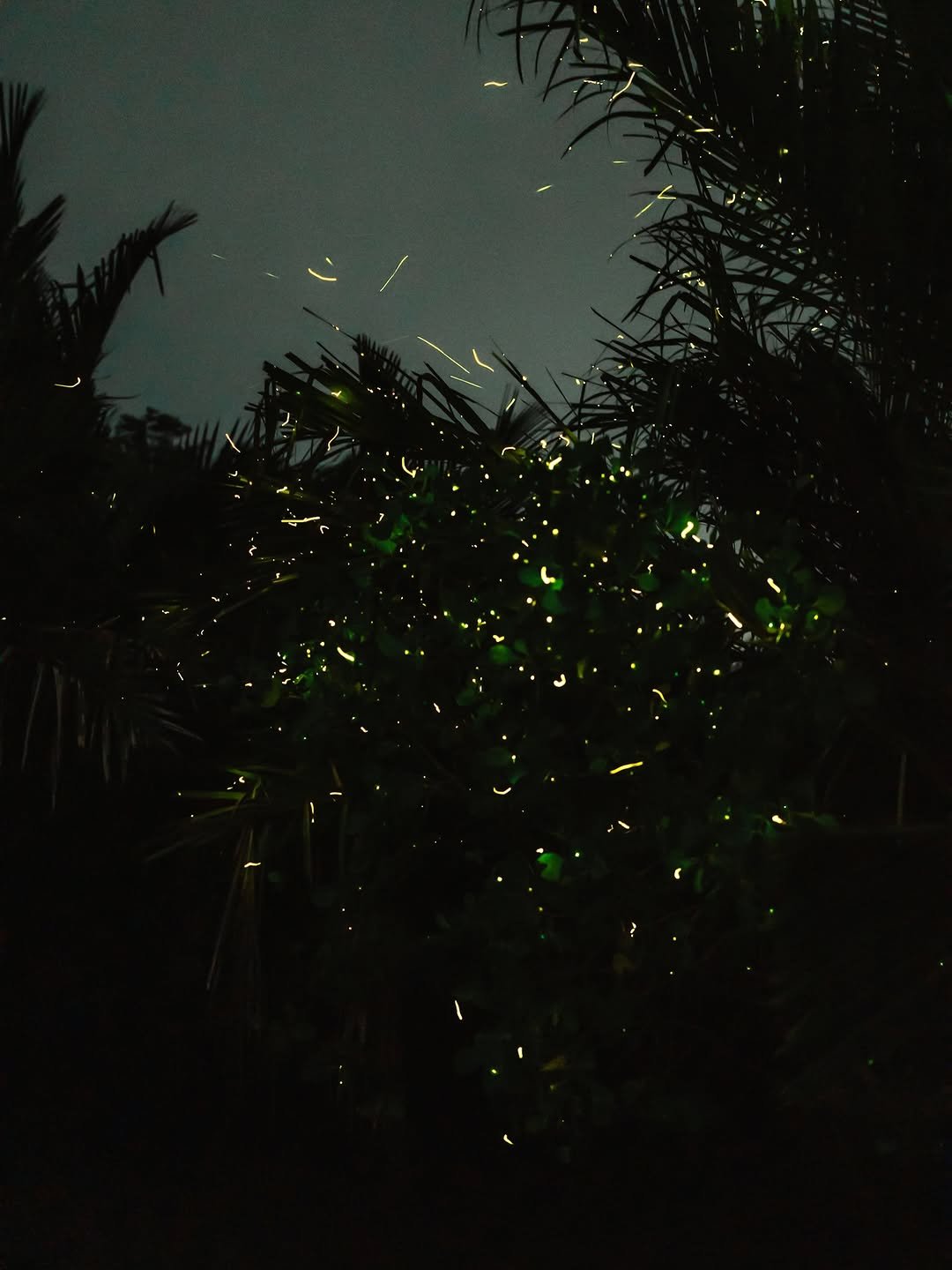 Photo shared by 빈백 | CHANG SU, OH on February 16, 2026 tagging @sonyalpha. May be an image of text.