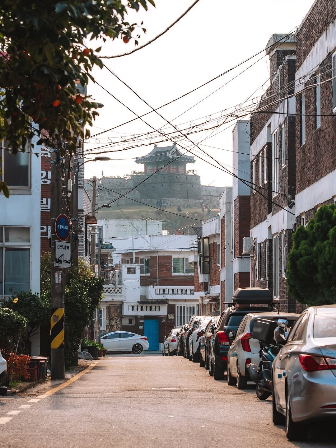 Photo shared by 빈백 | CHANG SU, OH on November 06, 2025 tagging @suwon_city. May be an image of cablecar, street, road, telephone pole, buildings, lamppost and text.