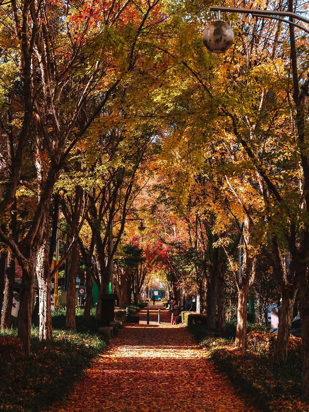 Photo shared by 빈백 | CHANG SU, OH on November 14, 2025 tagging @suwon_city. May be an image of street, lamppost and text.