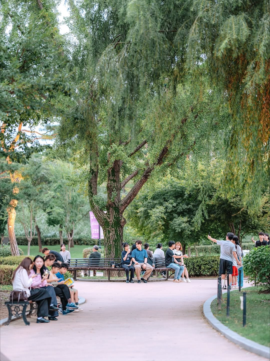 Photo shared by 빈백 | CHANG SU, OH on September 21, 2025 tagging @trazy_korea, @sonykorea, @suwon_city, @sonyalpha, @gyeonggi_tour, and @visitkorea_travel. May be an image of 11 people, park and text.