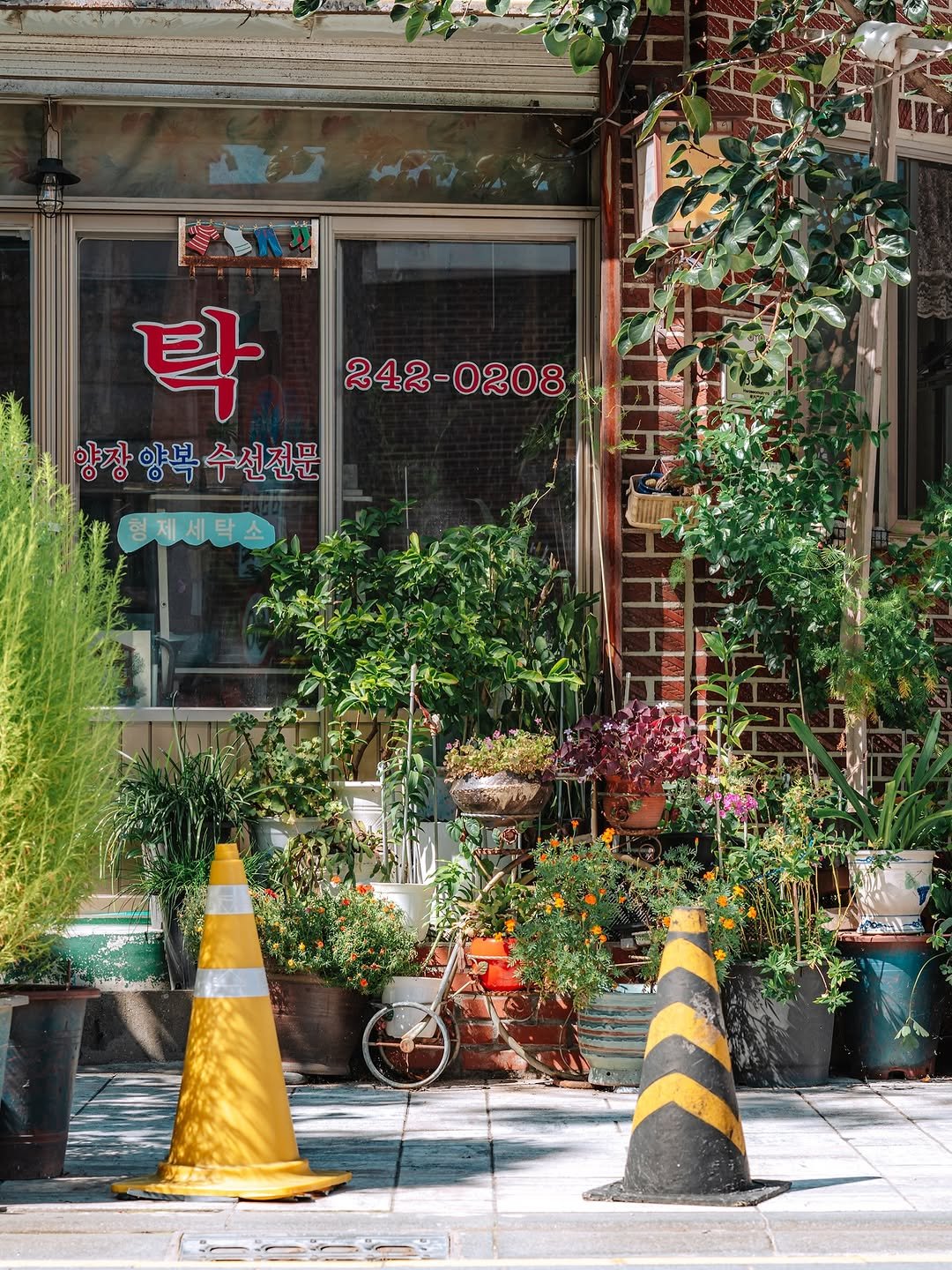 Photo by 빈백 | CHANG SU, OH in 행궁동 with @suwon_city. May be an image of icecream cone, flower pot, street, curb, brick wall, buildings and text.