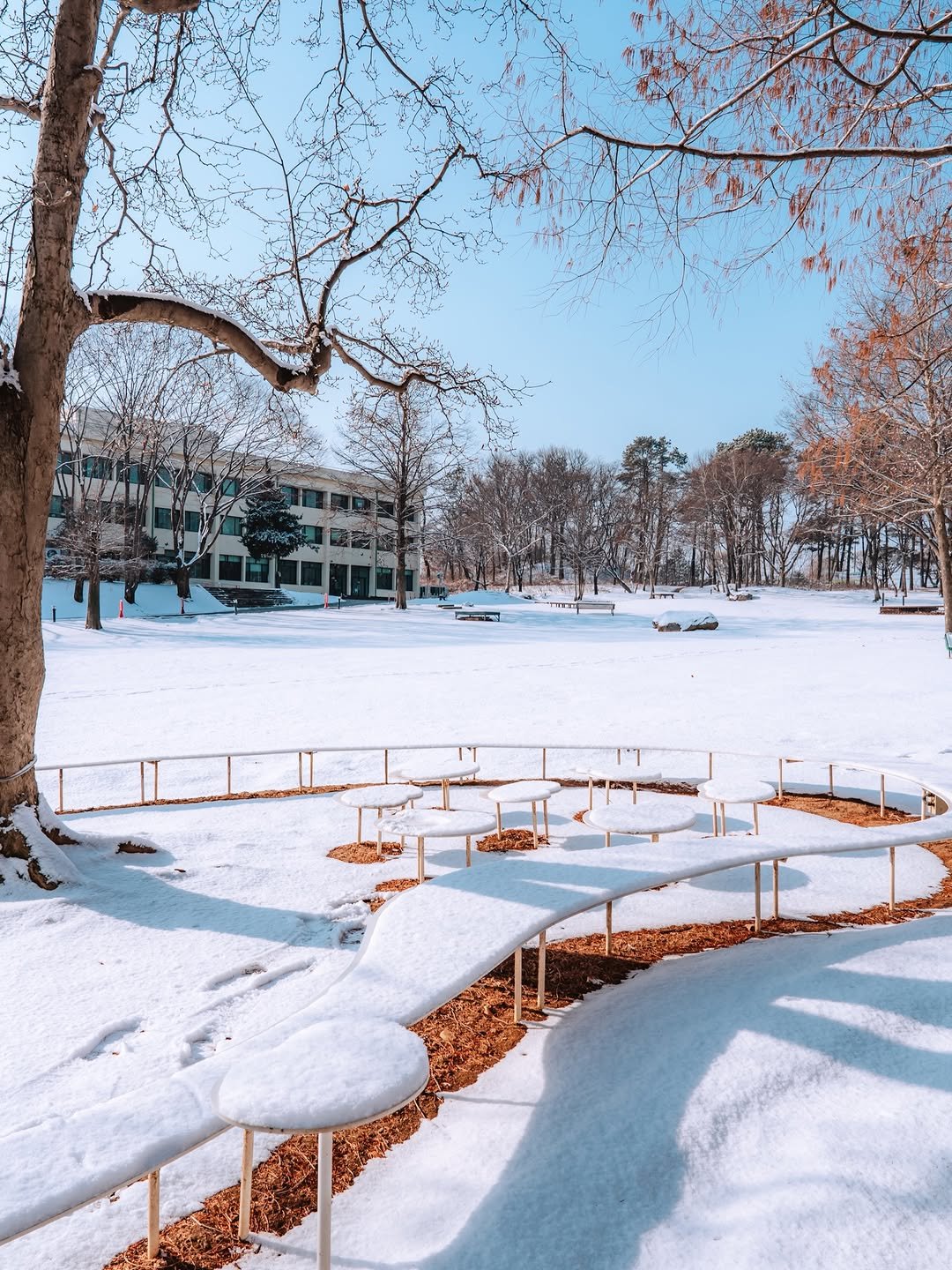 Photo shared by 빈백 | CHANG SU, OH on February 06, 2026 tagging @trazy_korea, @suwon_city, @gyeonggi_tour, @gyeonggi__official, and @southkorea.explores. May be an image of sparrow, ski slope, snow, park and text.