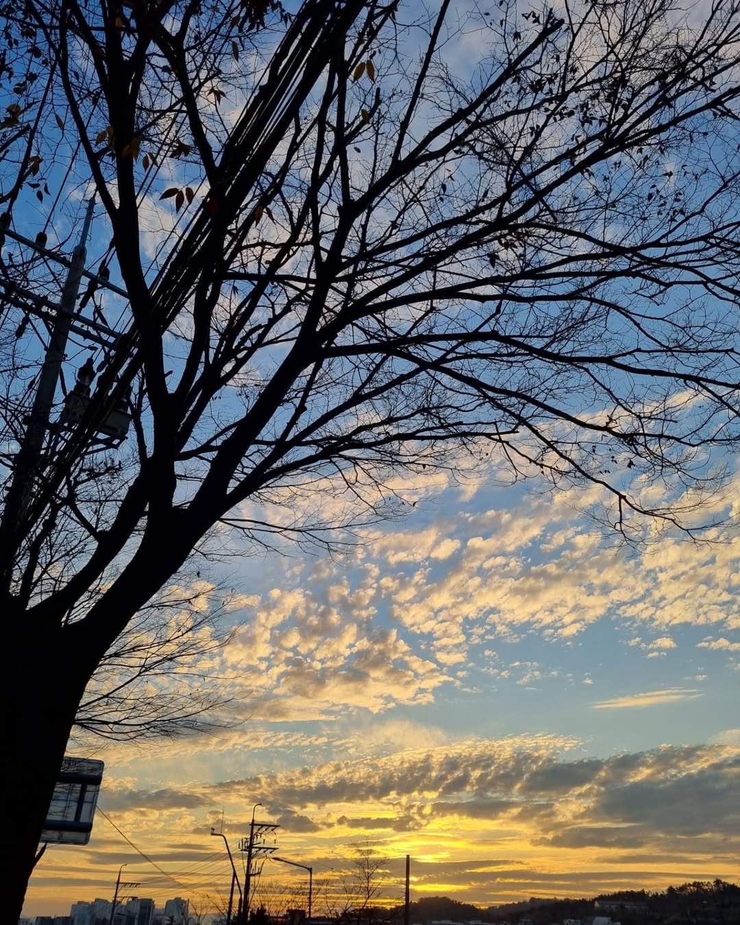 Photo by 대현 on November 29, 2021.