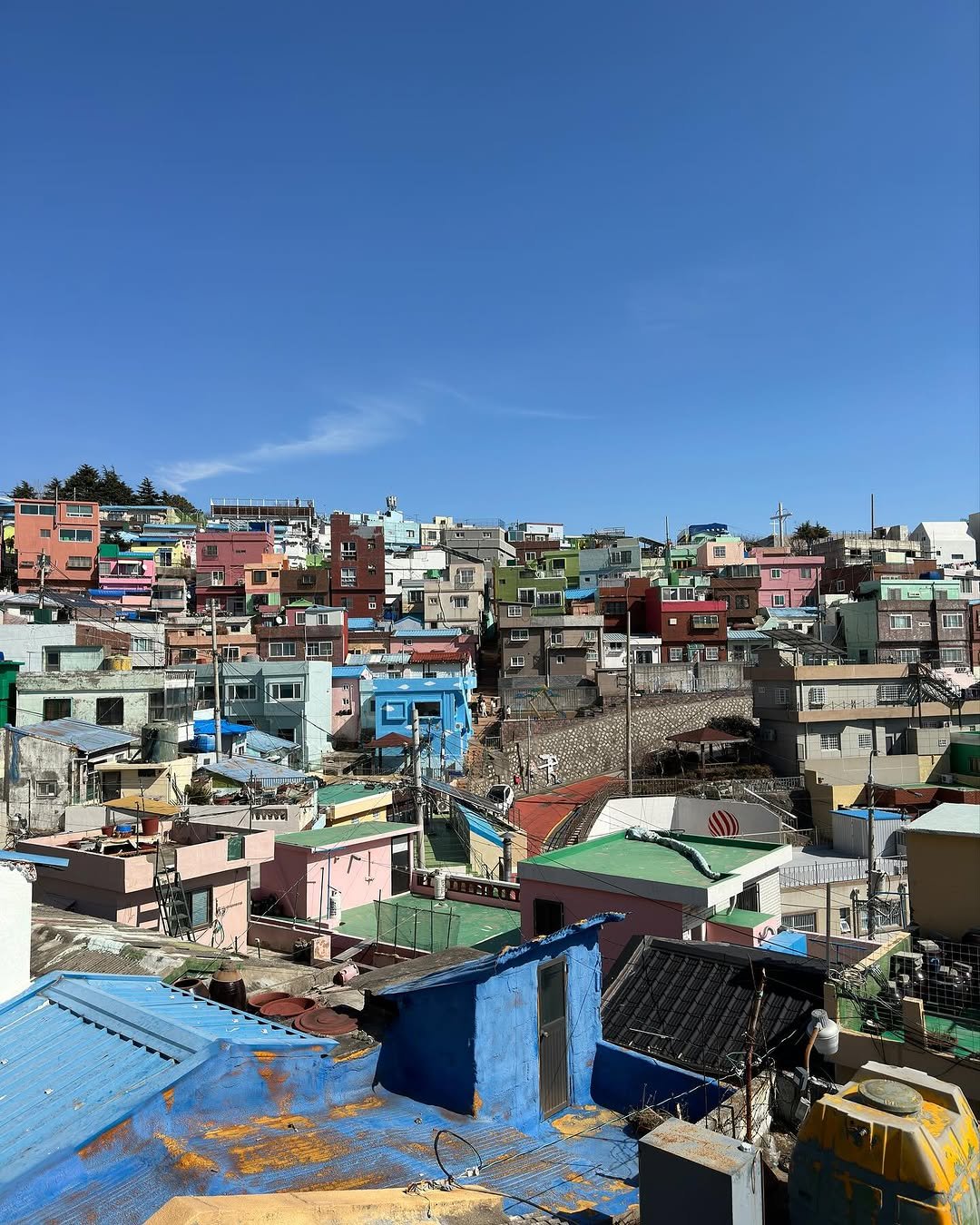 Photo by 대현 on November 13, 2023.