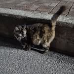 b_am.bo_ 인스타그램 프로필 사진