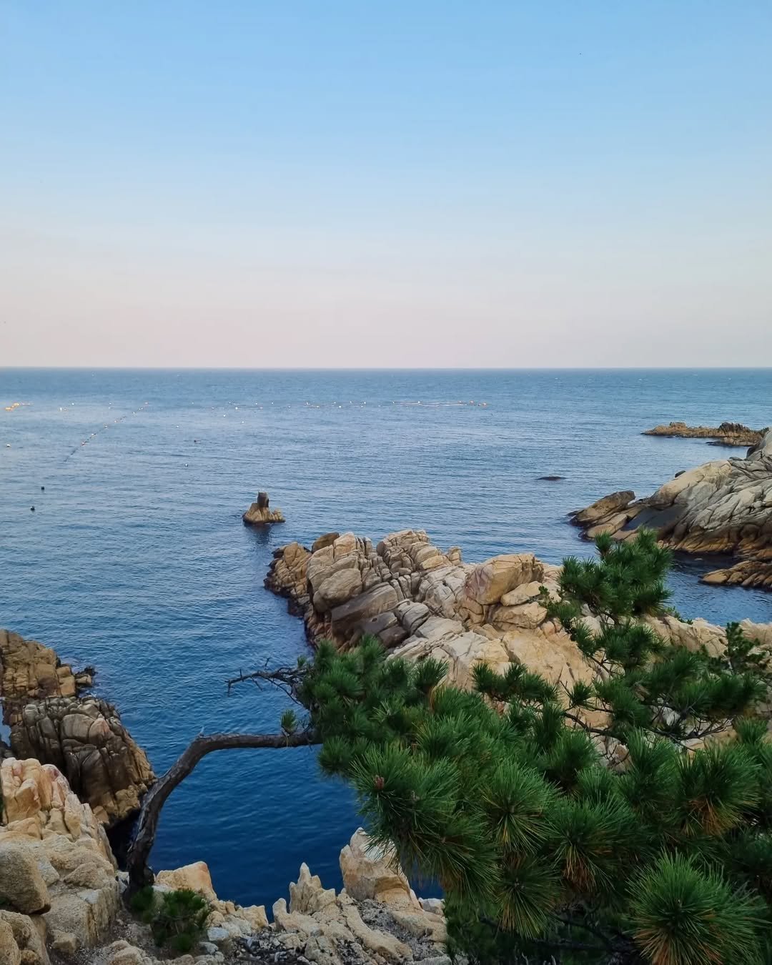 Photo by 대현 on March 11, 2022.