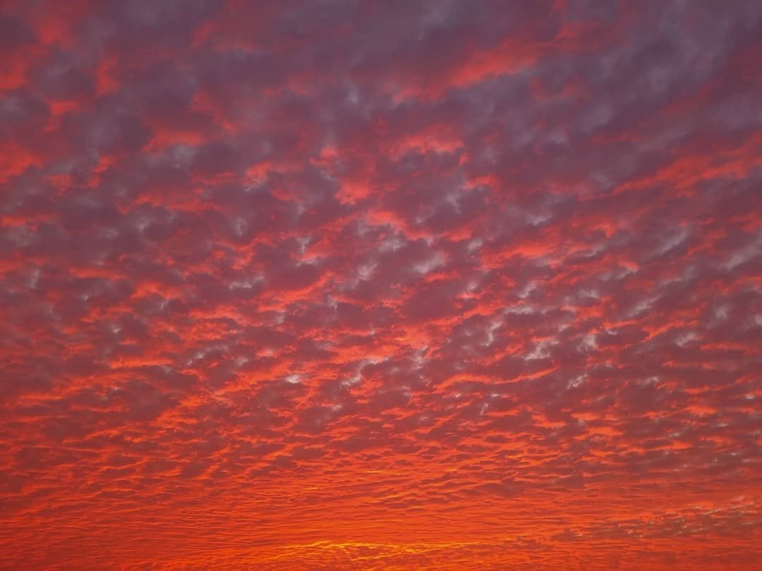 Photo by 대현 on June 21, 2021.