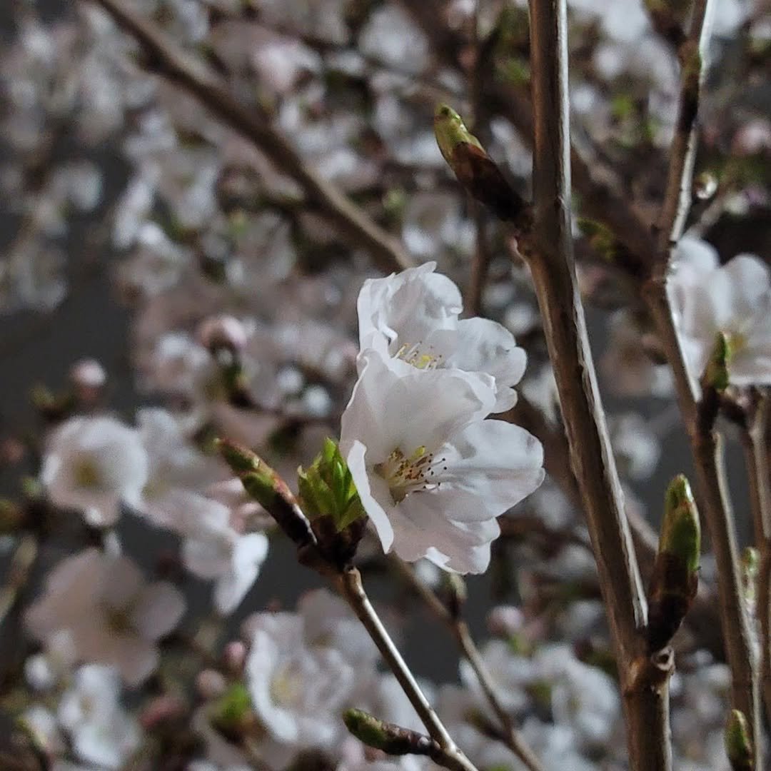 Photo by 대현 on March 20, 2021.