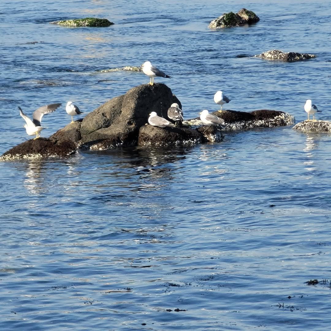 Photo by 대현 on February 21, 2021.