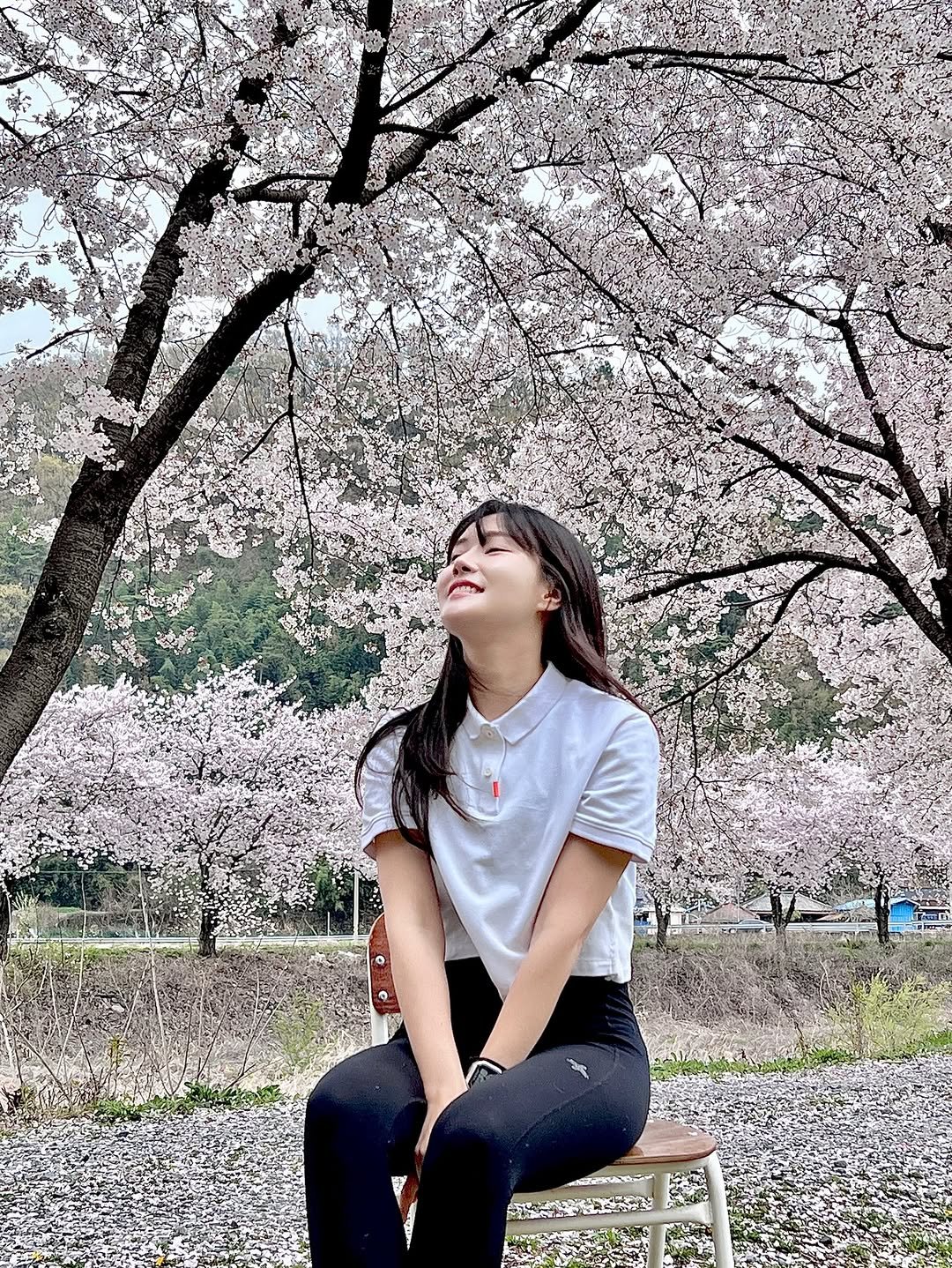 Photo by 변민서 on March 27, 2026. May be an image of stone-fruit tree, outdoors and text.