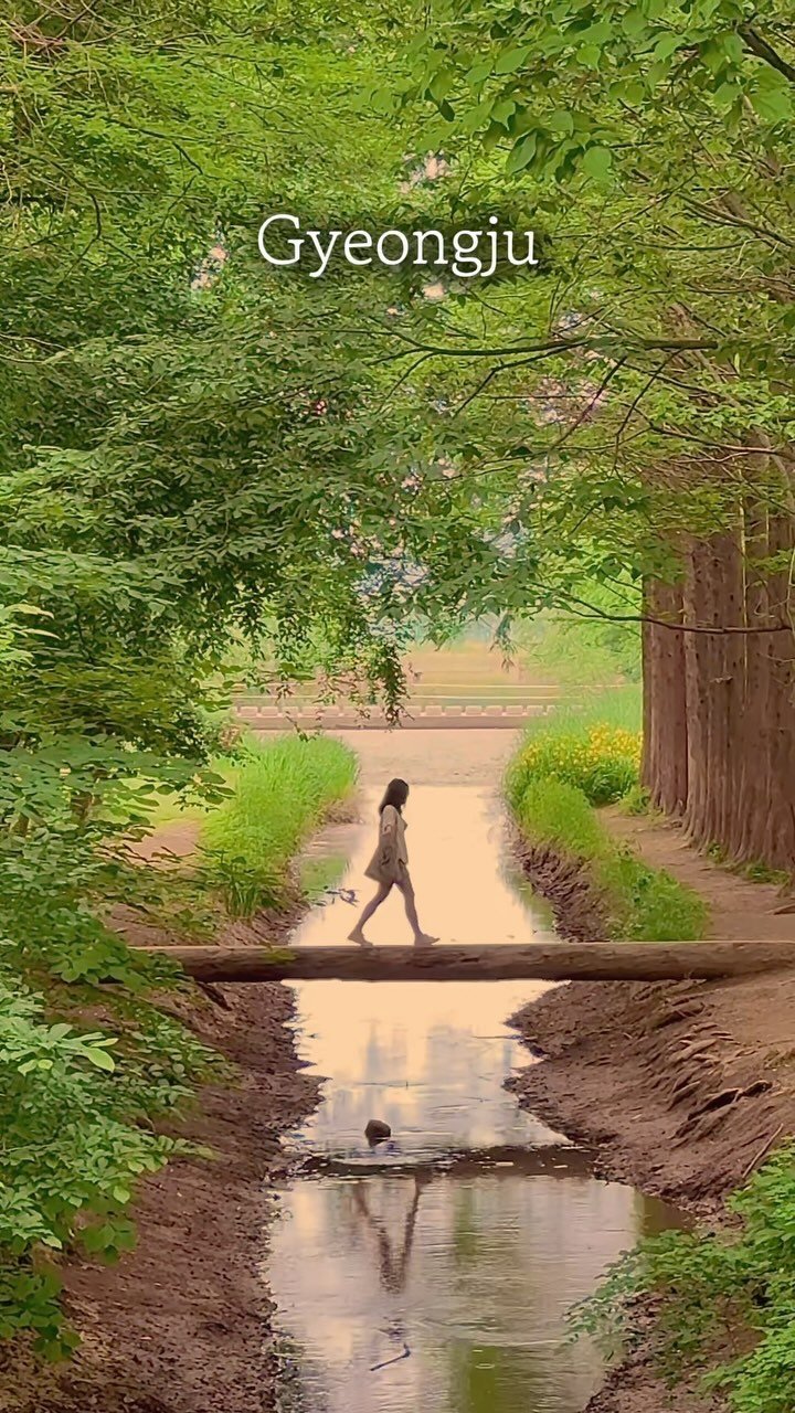 babbly__ 게시물 이미지: 이름처럼 오래오래 기억에 남을 천년숲정원! 🍃
⠀⠀⠀
정갈하게 꾸며진 숲속을 걷다...