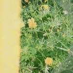 k1tchyq 프로필 사진