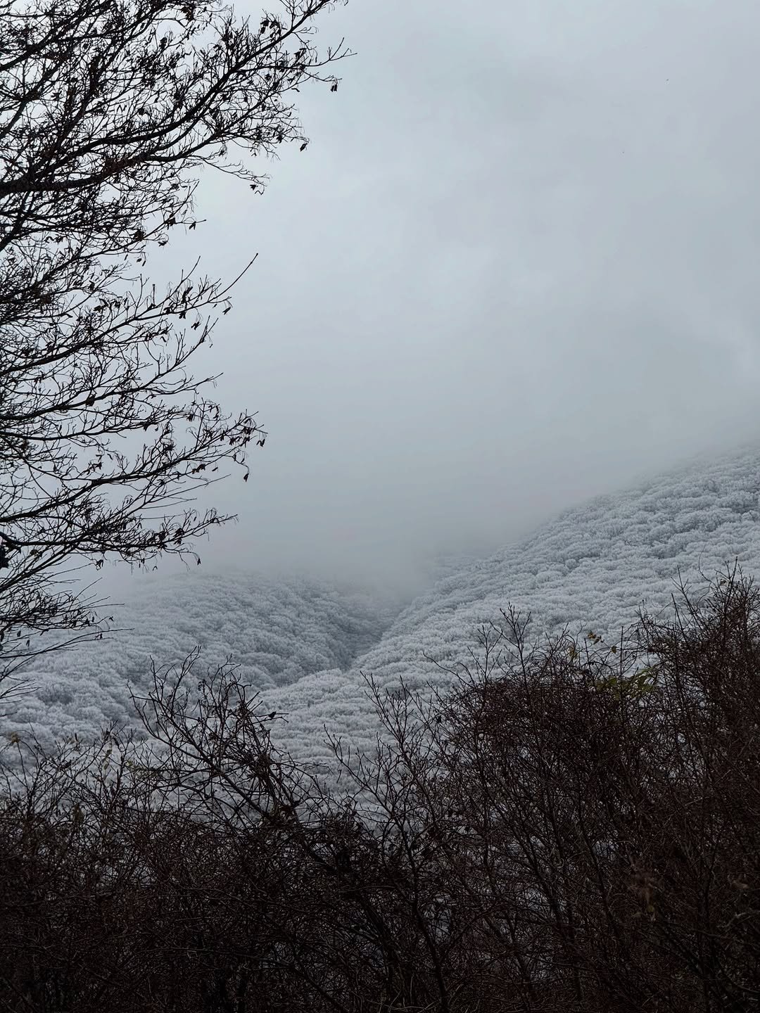 Photo by 백승범 | 백간 on December 03, 2025. May be an image of nature and fog.