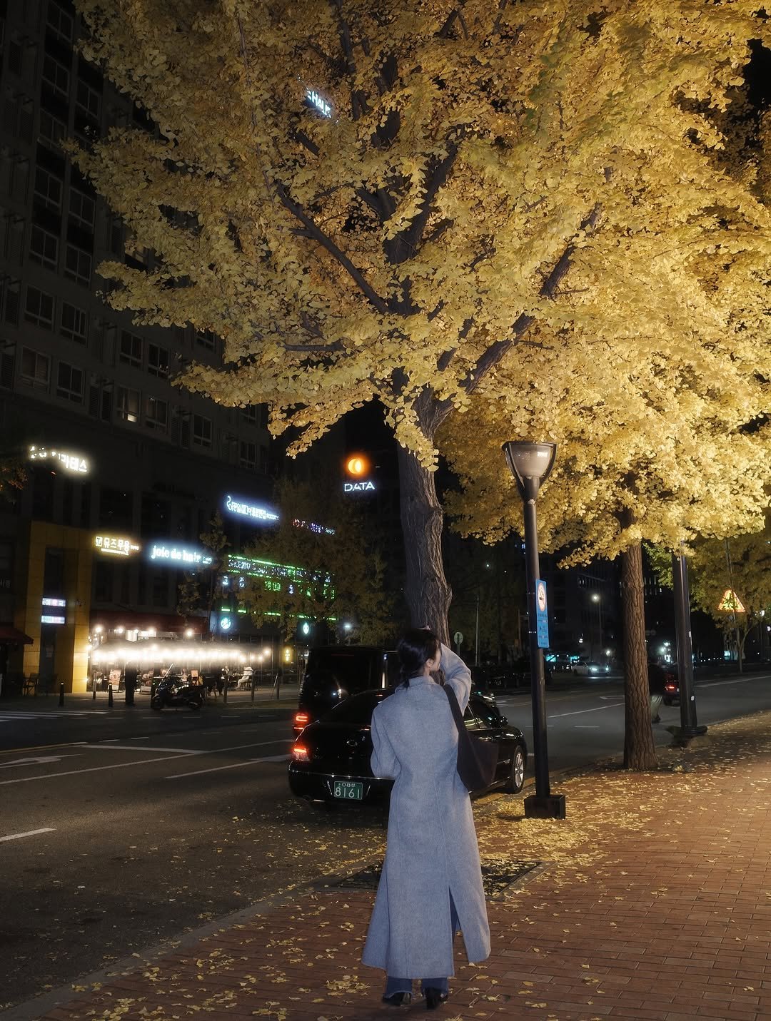 Photo by 바다 Bada on November 20, 2025. May be an image of umbrella, street, lamppost, night and text.