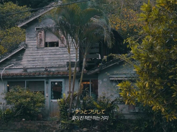 bada_ha 게시물 이미지: 오키나와에서 만난 2월의 벚꽃 ❀ ྀི
#Okinawa #沖縄

🌸🏩...