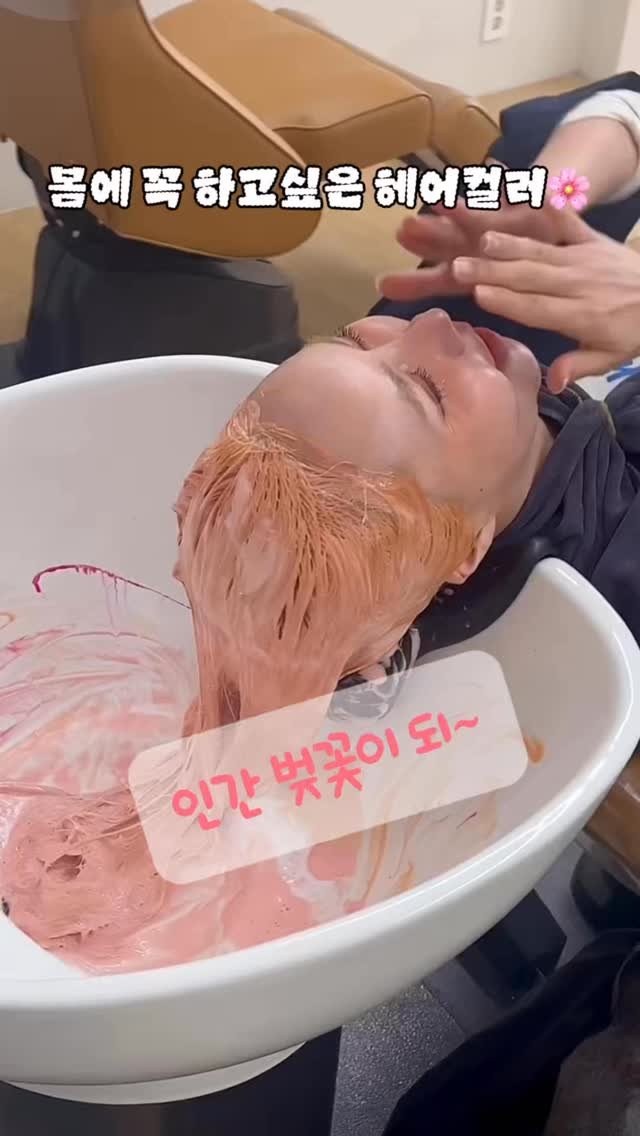 bada_pinky 게시물 이미지: 벚꽃을 가질수 없어서 
인간벚꽃이 되기로함!!!🌸

봄에 어울리는 컬러를 제머리로...