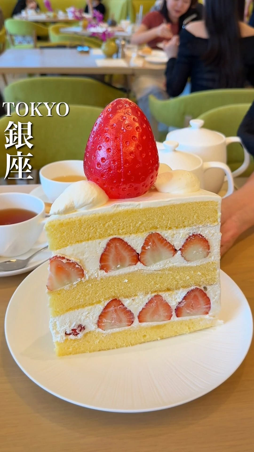 baebae_gurume 게시물 이미지: 日本一大きいショートケーキ🍰

高級ホテルが運営するこちらのお店では、6人前ほどある巨大なワン...
