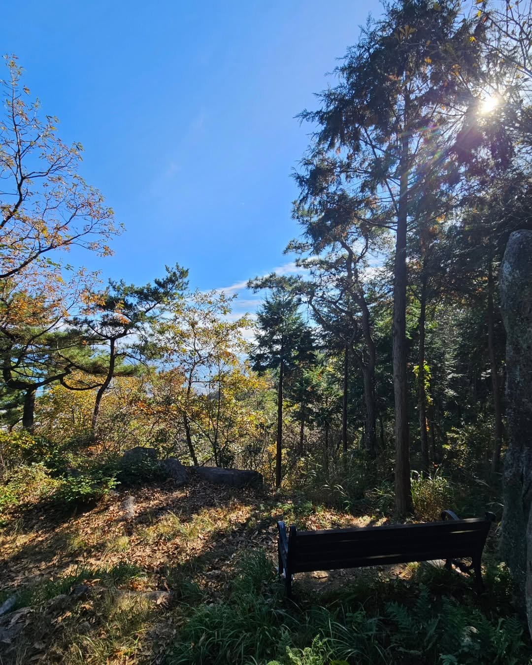 Photo by 배달배 on November 06, 2024.