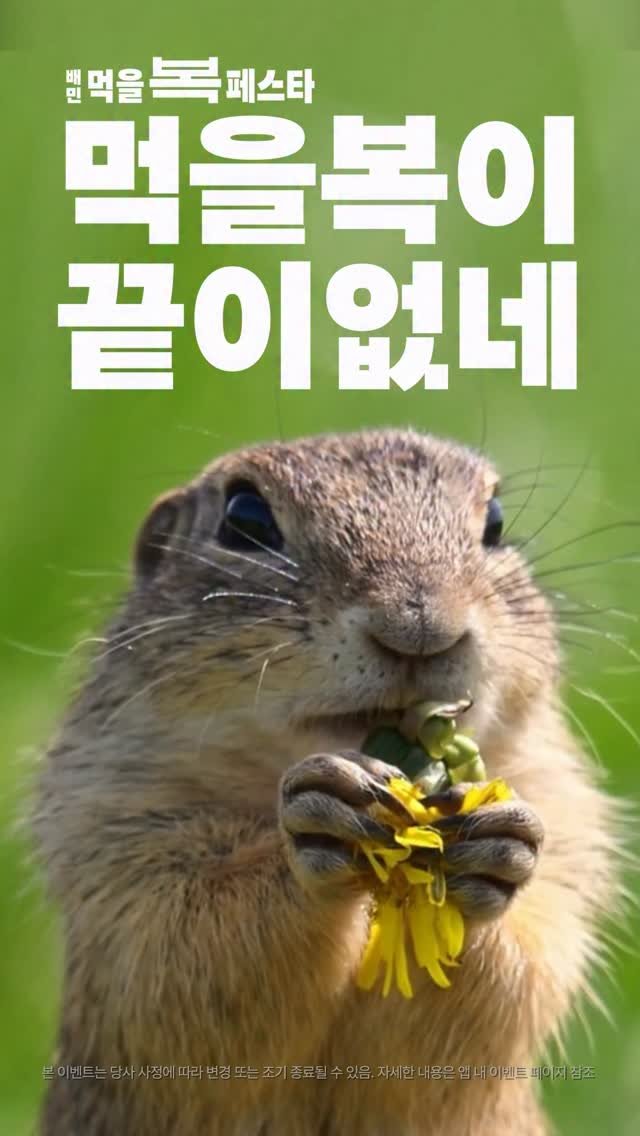 baemin_official 게시물 이미지: 지금 배민에서는 먹을복이 끝이 없네🥳

누구나 매일 최대 1만원+ 할인🎉
인기...
