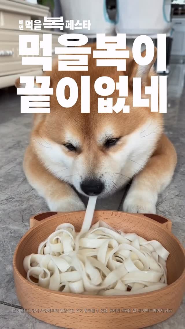 baemin_official 게시물 이미지: 지금 배민에서는 먹을복이 끝이 없네🥳

누구나 매일 최대 1만원+ 할인🎉
인기...