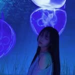 jamonghae._ 프로필 사진