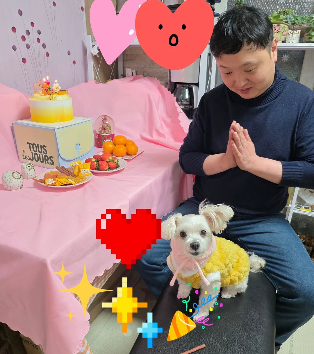 Photo by 귀여운승진 on February 15, 2026. May be an image of Norwich terrier, Maltese, candle, cake and text.