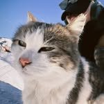 zrzrzryyy 프로필 사진