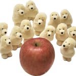 wowttgi 프로필 사진