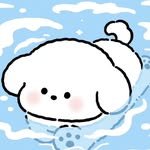 slimelime____ 프로필 사진