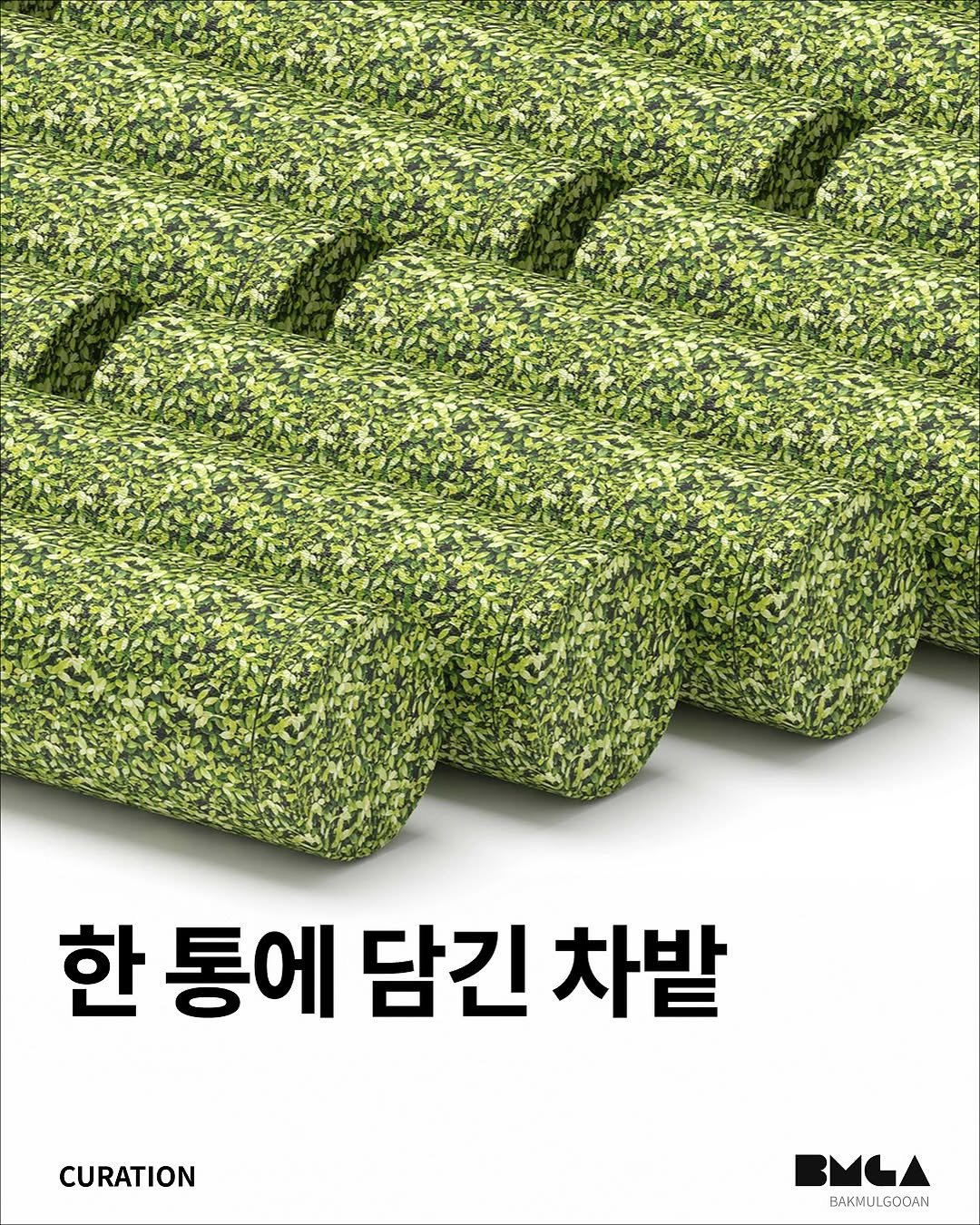 Photo by 박물구안 | Bakmulgooan on August 16, 2025. May be an image of text that says '한통에 한 통에 담긴 한통에담긴차밭 차밭 CURATION BAKMULGOOAN'.