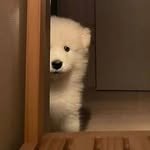 baekhyunee_exo 프로필 사진