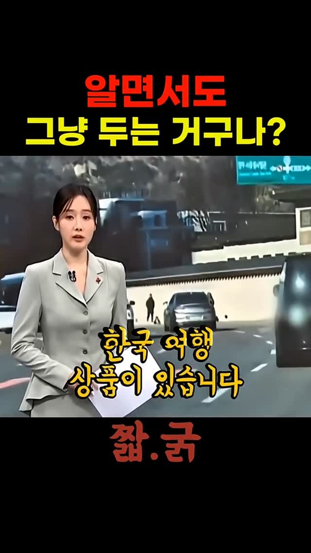 bamtoree_papa 게시물 이미지: 문체부가 인정한 중국인 관광 가이드의 수상한 여행상품

짧국숏츠