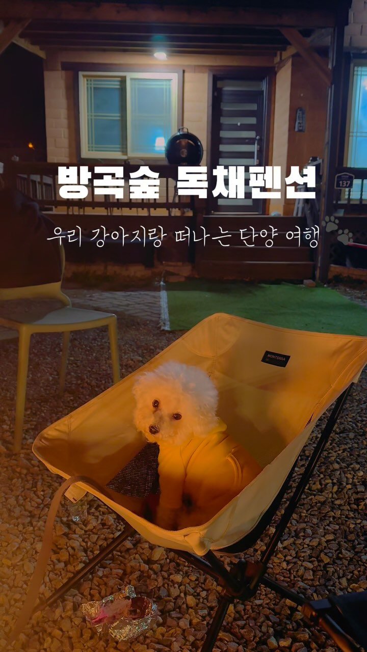 bang.gok 게시물 이미지: 🏡방곡숲
- 4인기준 최대 10인
- 반려동물동반가능 🐾 다견환영!
-...