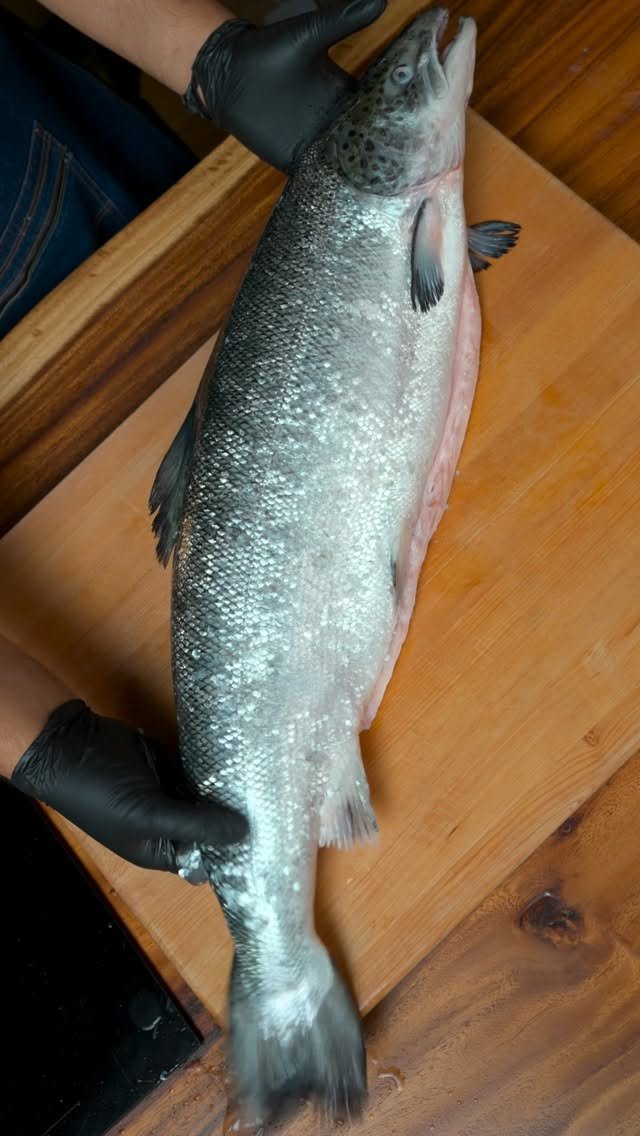 bankii_ii 게시물 이미지: Don’t Scale Salmon Like This