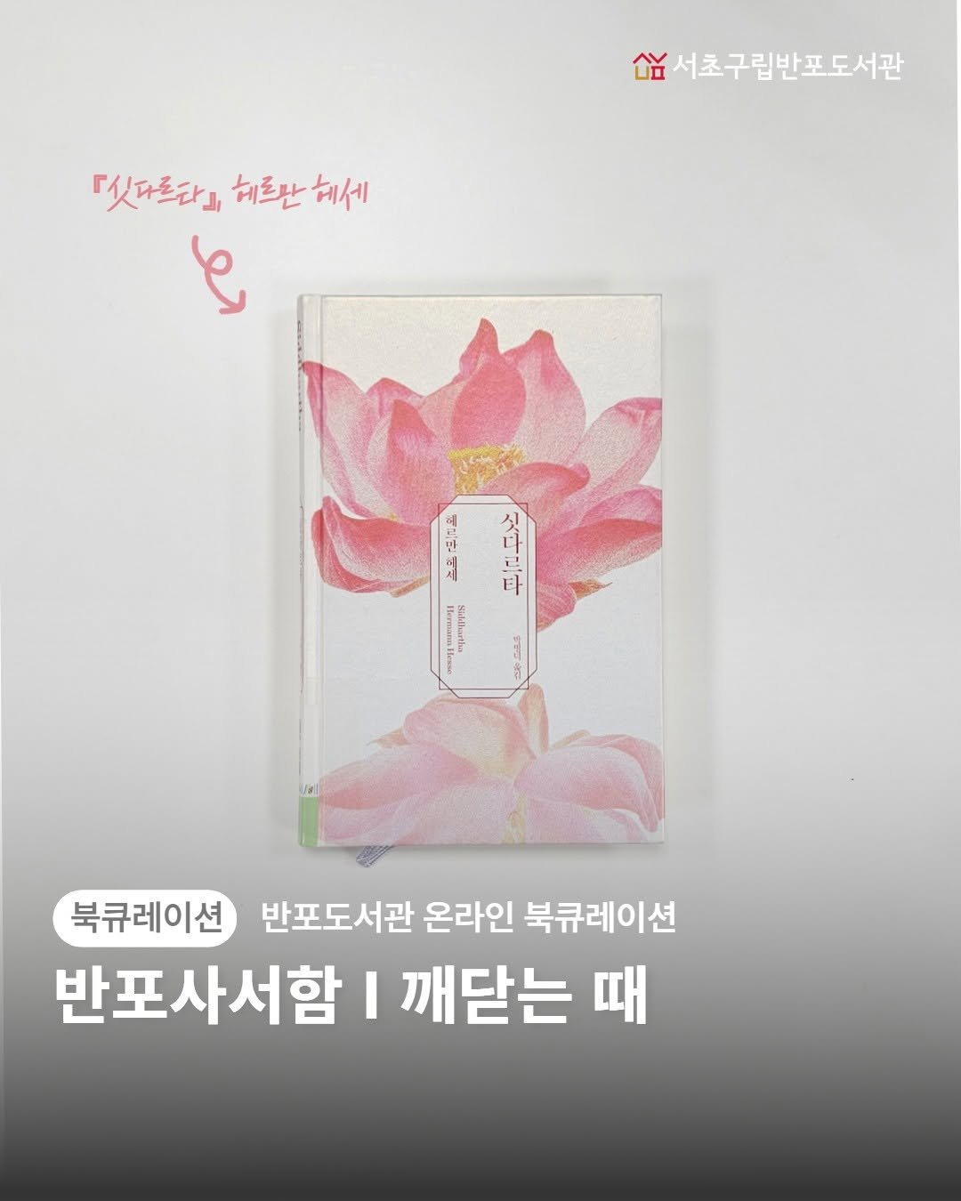 Photo by 서초구립반포도서관 on February 02, 2026. May be an image of book and text.