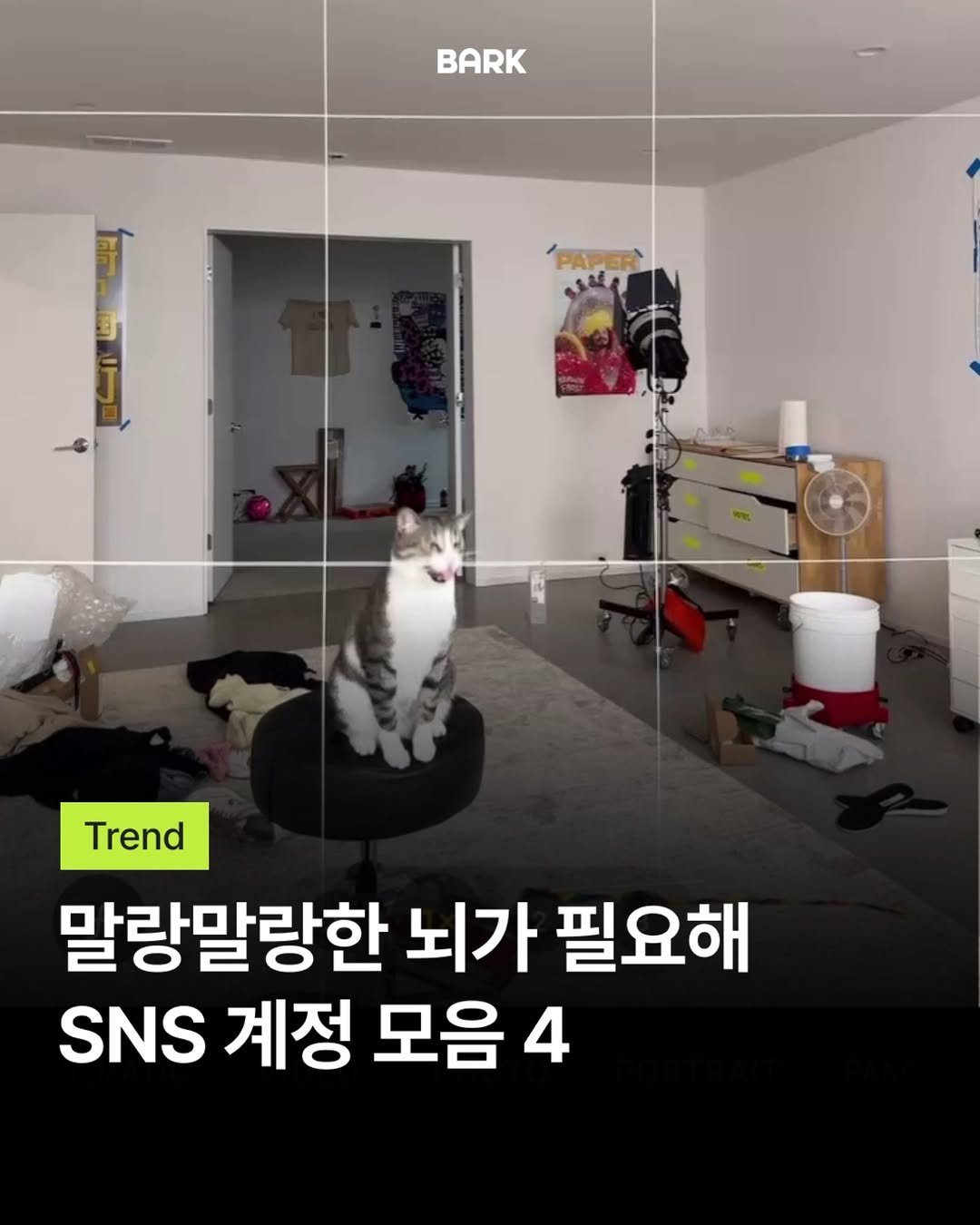 bark_mag 게시물 이미지: 🧠연휴 이후 뇌를 말랑하게 해줄 SNS 레퍼런스 4

긴 연휴 이후 날씨만큼이나...