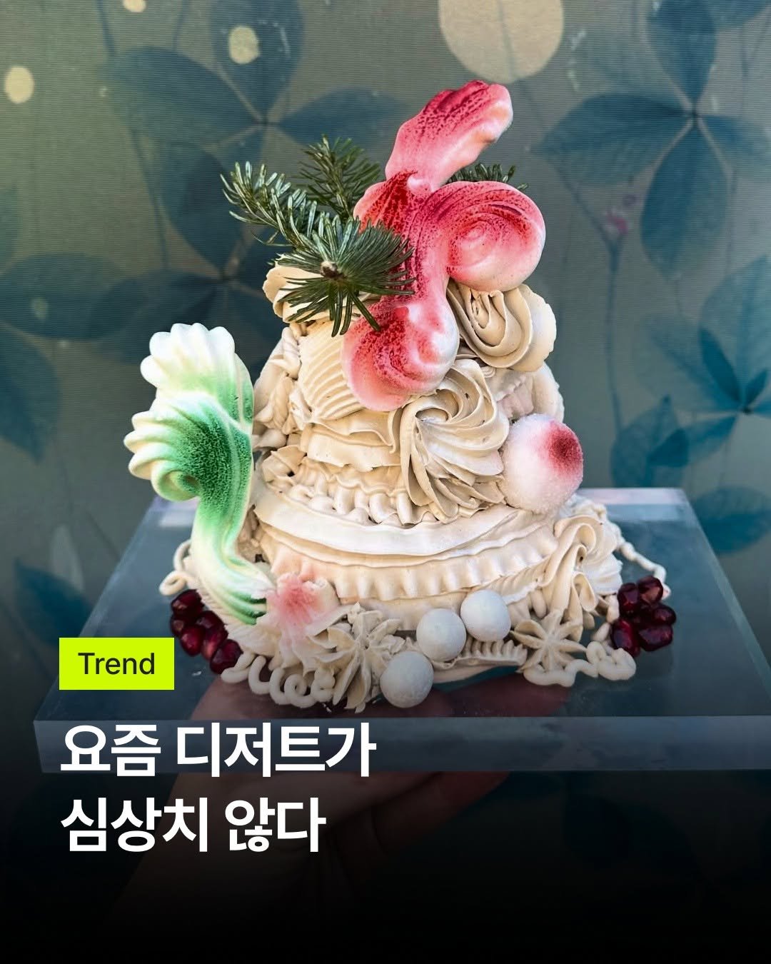 bark_mag 게시물 이미지: 🎂미감 다들 어디서 기르시나요?

디자인 레퍼런스만 보는 시대는 지났습니다....