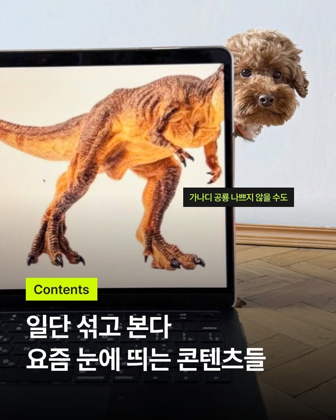 Photo by 바크 | 마케팅•브랜드•인사이트 매거진 on March 27, 2026. May be an image of Norwich terrier, Bedlington terrier, tablet and text that says '가나디 공룡 나쁘지 않을 수도 Contents 일단 섞고 본다 요즘 눈에 띄는 콘텐츠들'.