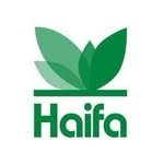 haifagroup 프로필 사진