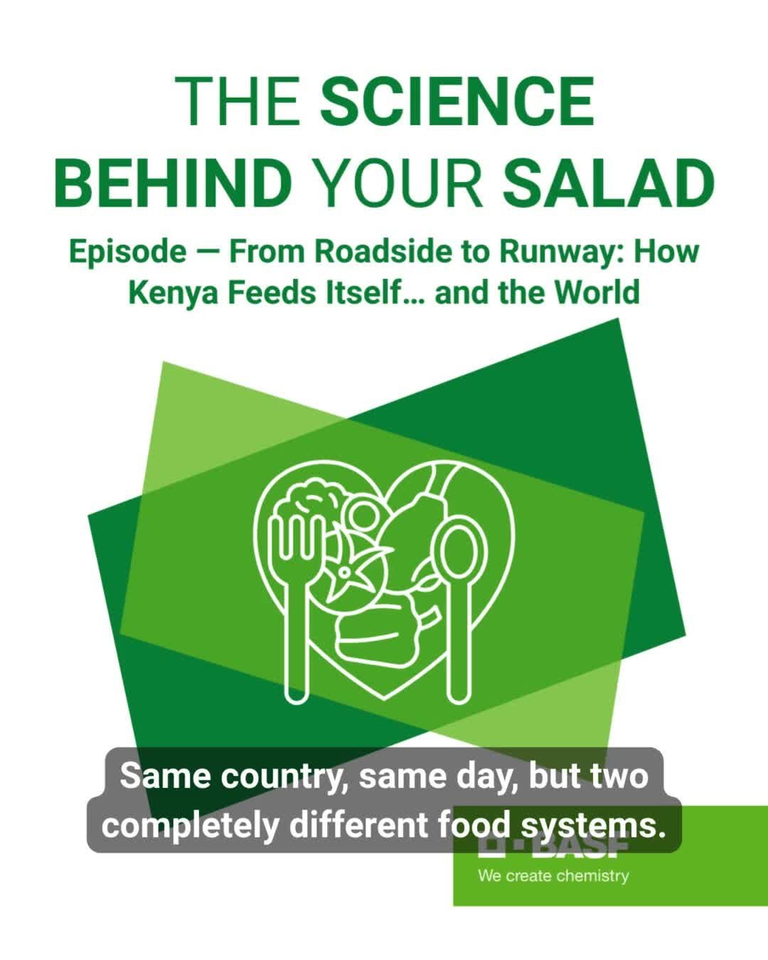 basfagro_global 게시물 이미지: 🌍 How can a country feed the world—and still...