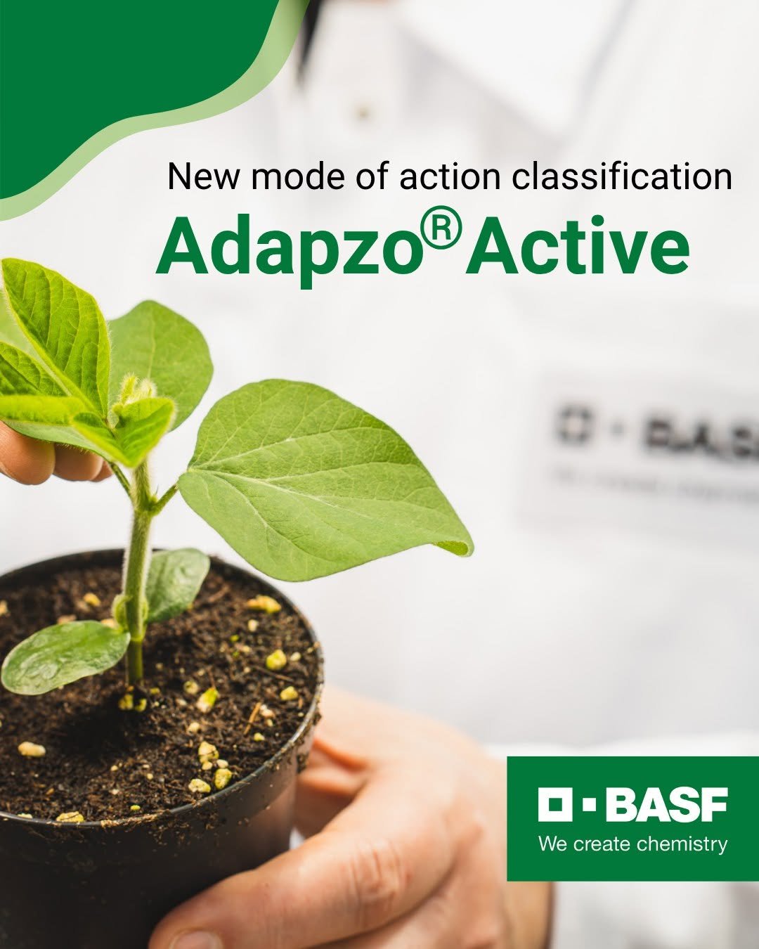 basfagro_global 게시물 이미지: A new chapter in fungicide innovation 🌱

In...