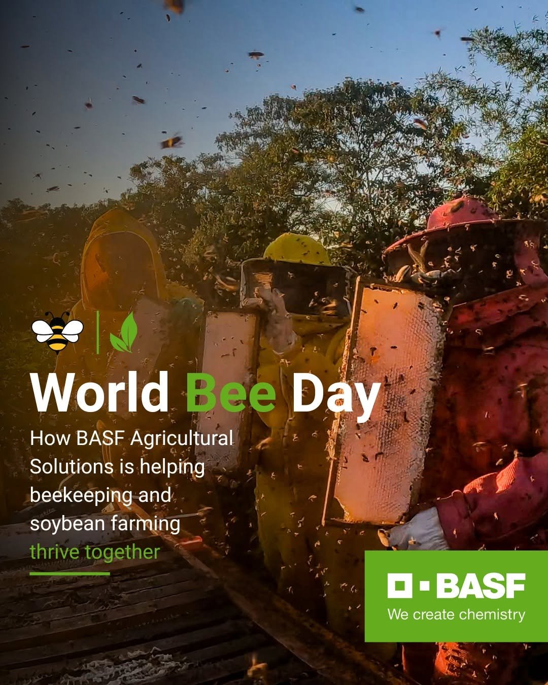 basfagro_global 게시물 이미지: 🐝🌱 This World Bee Day, discover how BASF...