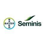 seminisbrasil 프로필 사진