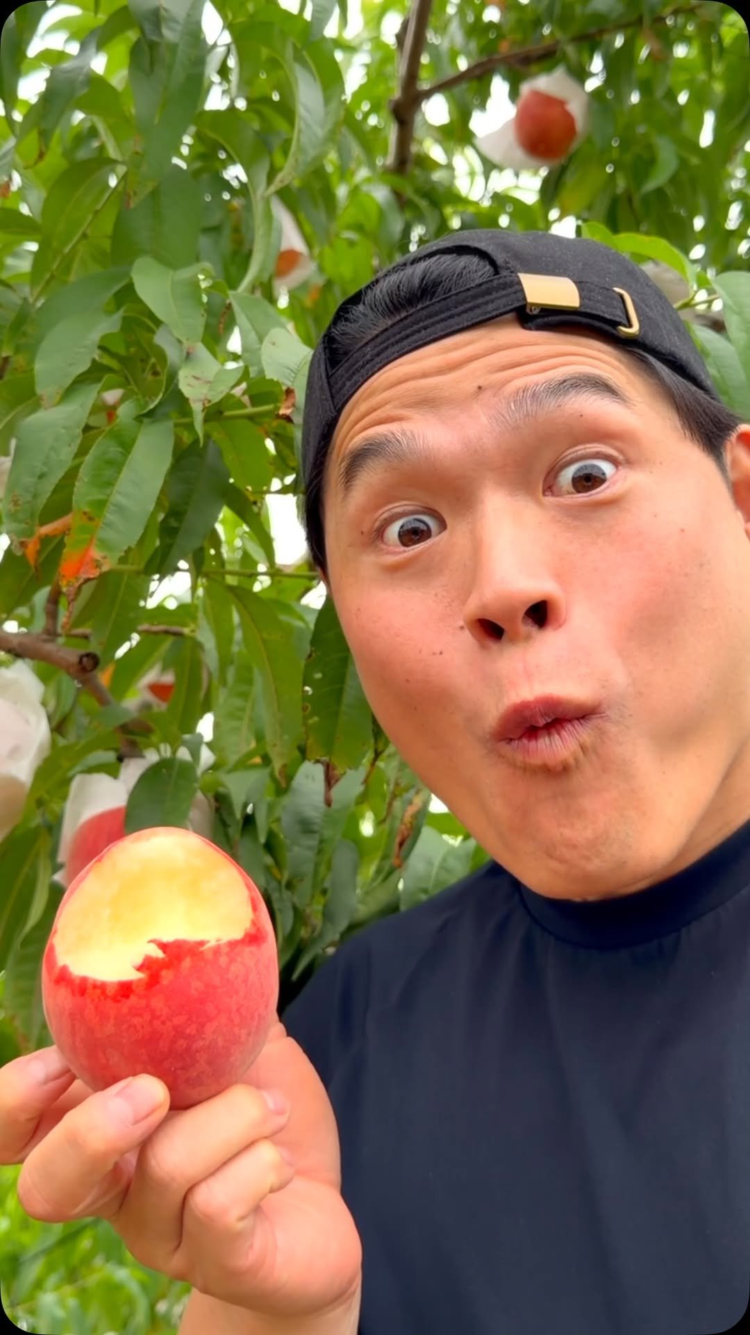 bayashi_tv 게시물 이미지: Trying Peach Recipes 🍑 @masanori_johata