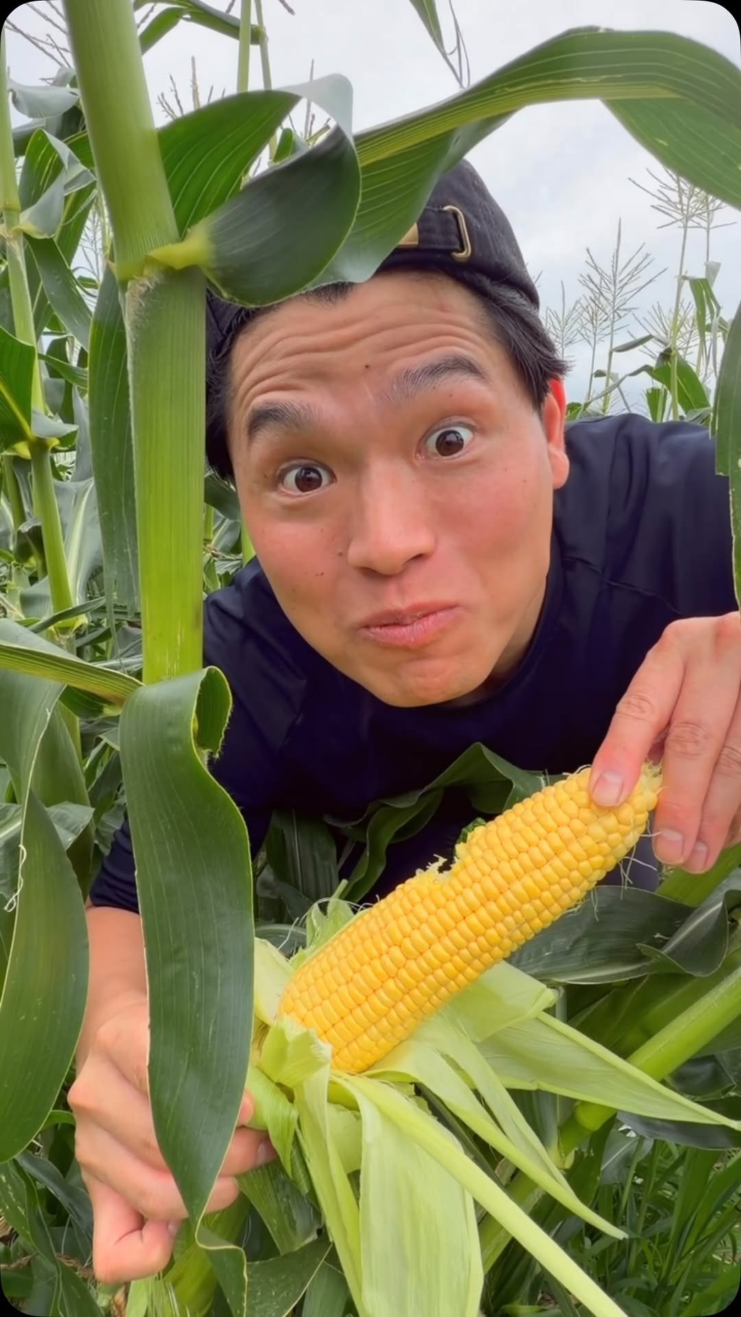 bayashi_tv 게시물 이미지: Corn Dishes 🇯🇵🇰🇷🇲🇽🇮🇳