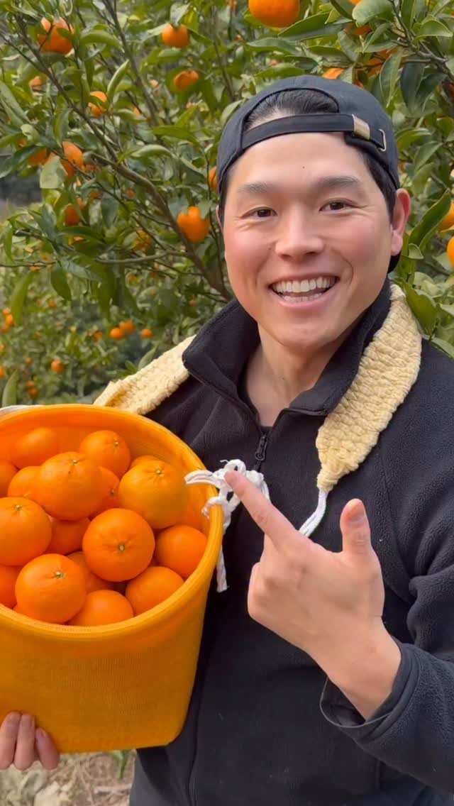 bayashi_tv 게시물 이미지: Let’s Try Some Orange Recipe 🍊
撮影のご協力✨
みかん畑→...
