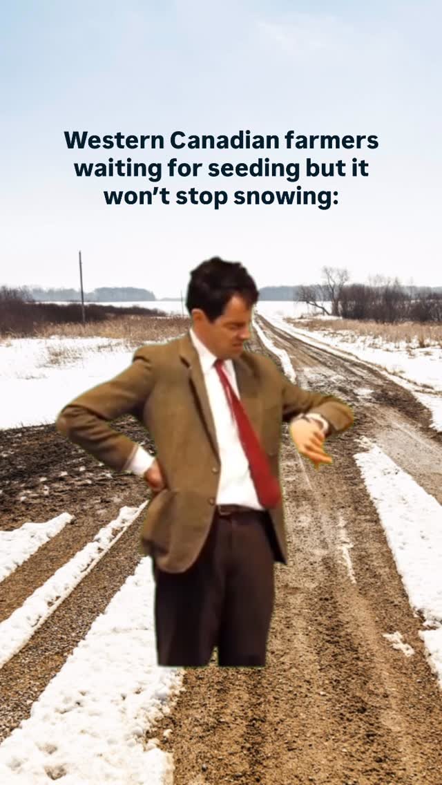 bayer4cropsca 게시물 이미지: yes it’s moisture, but at what cost??...
