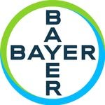 bayerus 프로필 사진