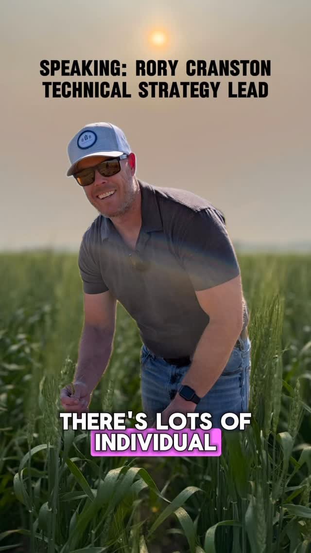 bayer4cropsca 게시물 이미지: Technical Strategy Lead Rory Cranston talks...